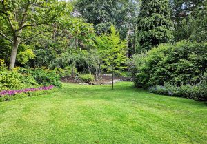 Optimiser l'expérience du jardin à Moissieu-sur-Dolon